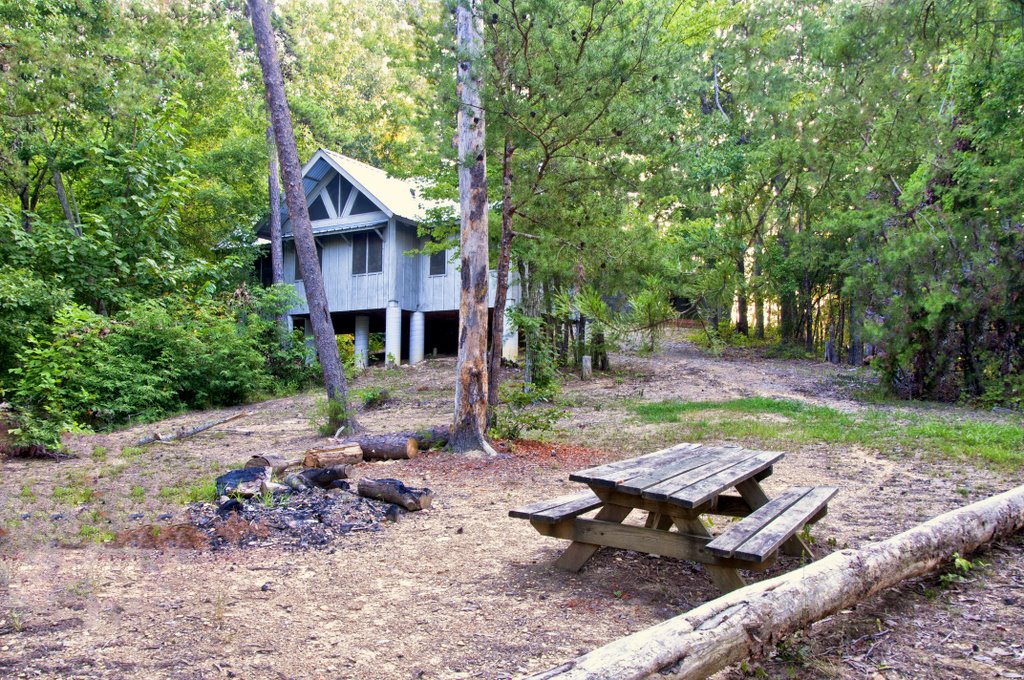 cabin